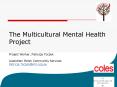 The Multicultural Mental Health Project  Project Worker, Patrycja Toczek  Australian Polish Community Services Patricia.Toczek@mh.org.au PowerPoint PPT Presentation