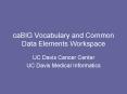 caBIG Vocabulary and Common Data Elements Workspace PowerPoint PPT Presentation