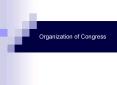Organization of Congress PowerPoint PPT Presentation