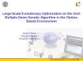 LargeScale Evolutionary Optimization on the Grid: MultipleDeme Genetic Algorithm in the GlobusBased PowerPoint PPT Presentation