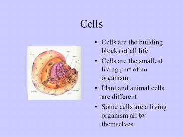 presentation player overlay