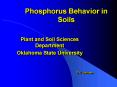 Phosphorus Behavior in Soils PowerPoint PPT Presentation
