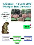 AIS Basic 49 June 2006 Michigan State University PowerPoint PPT Presentation