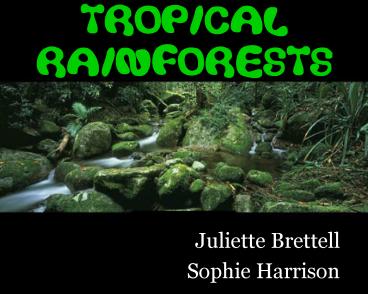 TROPICAL RAINFORESTS