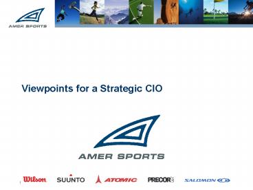 Viewpoints for a Strategic CIO