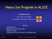 Heavy Ion Program in ALICE