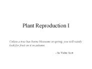 Plant Reproduction I