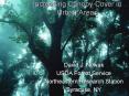 Increasing Canopy Cover in Urban Areas PowerPoint PPT Presentation