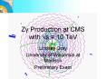 Z Production at CMS with vs 10 TeV PowerPoint PPT Presentation