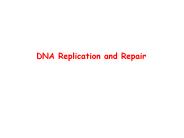 DNA Replication and Repair