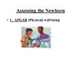 Assessing the Newborn PowerPoint PPT Presentation