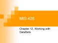 MIS 426 PowerPoint PPT Presentation