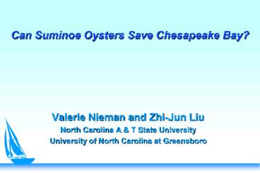 Can Suminoe Oysters Save Chesapeake Bay