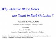 Why Massive Black Holes
