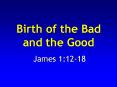 Birth of the Bad and the Good PowerPoint PPT Presentation