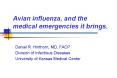 Avian influenza, and the medical emergencies it brings' PowerPoint PPT Presentation