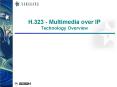 H'323 Multimedia over IP Technology Overview PowerPoint PPT Presentation