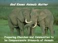 God Knows Animals Matter PowerPoint PPT Presentation