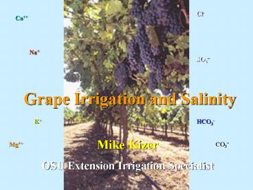 Salinity and Grape Irrigation