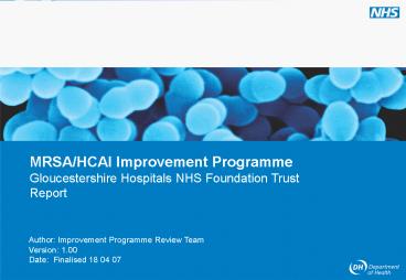Author: Improvement Programme Review Team