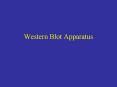 Western Blot Apparatus PowerPoint PPT Presentation