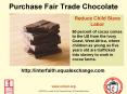 Purchase Fair Trade Chocolate PowerPoint PPT Presentation
