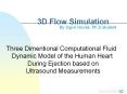 3D Flow Simulation PowerPoint PPT Presentation