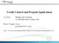 Credit Control and Prepaid Applications PowerPoint PPT Presentation