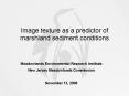 Image texture as a predictor of marshland sediment conditions PowerPoint PPT Presentation