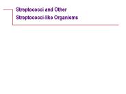 Streptococci and Other
