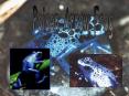 Poison Arrow Frog PowerPoint PPT Presentation