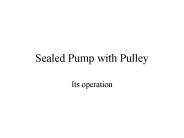 Sealed Pump with Pulley