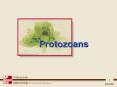 Protozoans PowerPoint PPT Presentation