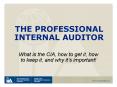 THE PROFESSIONAL INTERNAL AUDITOR PowerPoint PPT Presentation