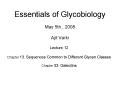Essentials of Glycobiology May 5th', 2008 Ajit Varki PowerPoint PPT Presentation