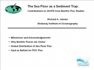 The Sea Floor as a Sediment Trap: