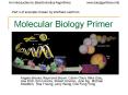 Molecular Biology Primer PowerPoint PPT Presentation