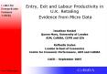 Entry, Exit and Labour Productivity in U'K' Retailing Evidence from Micro Data PowerPoint PPT Presentation