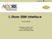 L-Store-SRM Interface