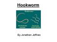 Hookworm PowerPoint PPT Presentation