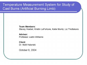 Temperature Measurement System for Study of Cast Burns Artificial Burning Limb