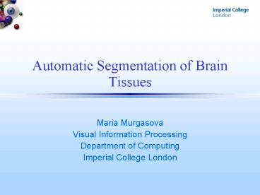 Automatic Segmentation of Brain Tissues