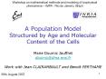 A Population Model Structured by Age and Molecular Content of the Cells PowerPoint PPT Presentation
