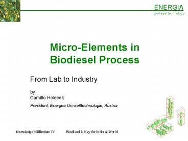 MicroElements in Biodiesel Process