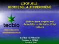 LIPOFUELS: BIODIESEL PowerPoint PPT Presentation