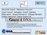 Geant4 Space Workshop - DNA