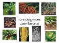 TOPS OR BOTTOMS BY JANET STEVENS PowerPoint PPT Presentation