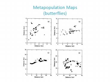 Metapopulation Maps butterflies