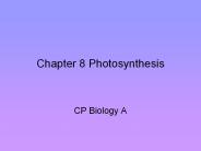 Chapter 8 Photosynthesis