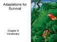 Adaptations for Survival PowerPoint PPT Presentation